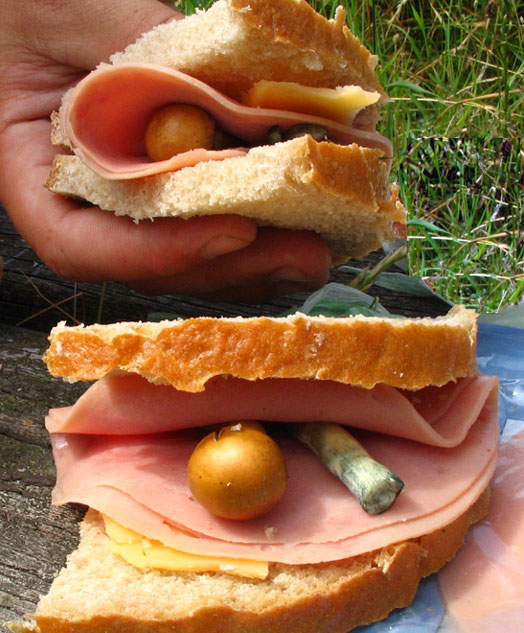 Tradicni, holandsky, psychedelicky toast