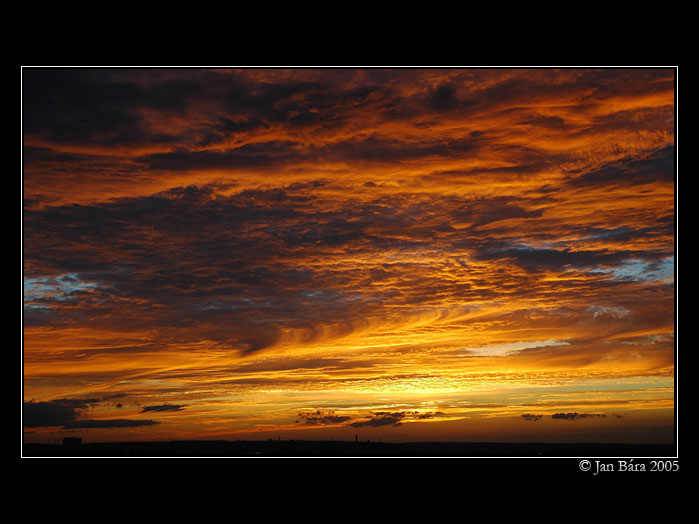 Beneath a steel sky