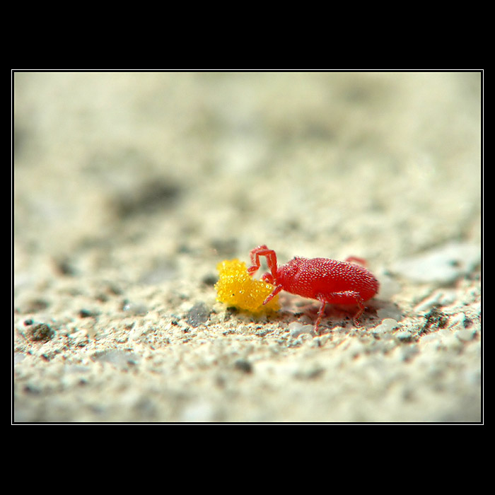 ...DOF uf uf...