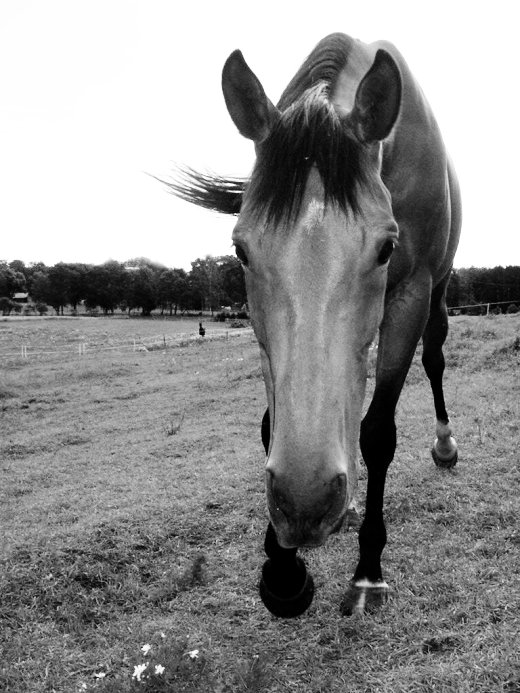 ťuk, ťuk je někdo doma?