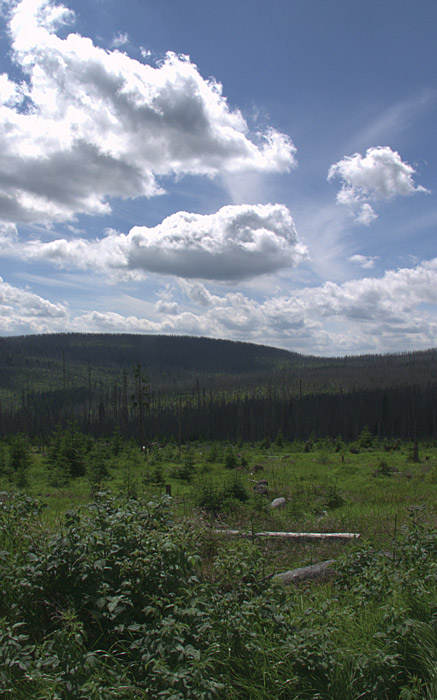 Šumava