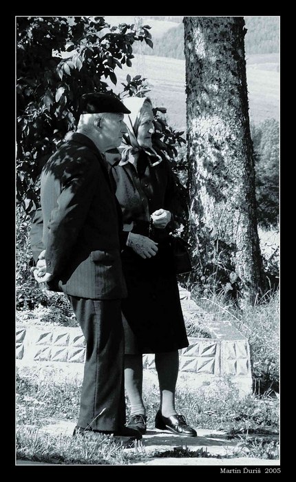 Hodnotenie Situácie