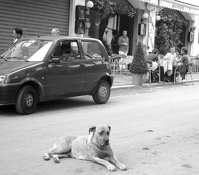 pohoda v Peschici