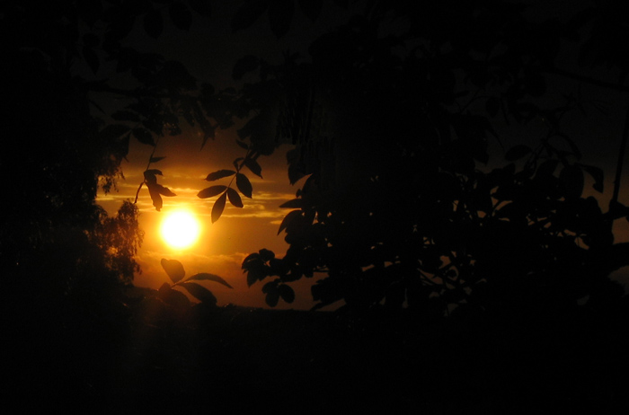 Sun