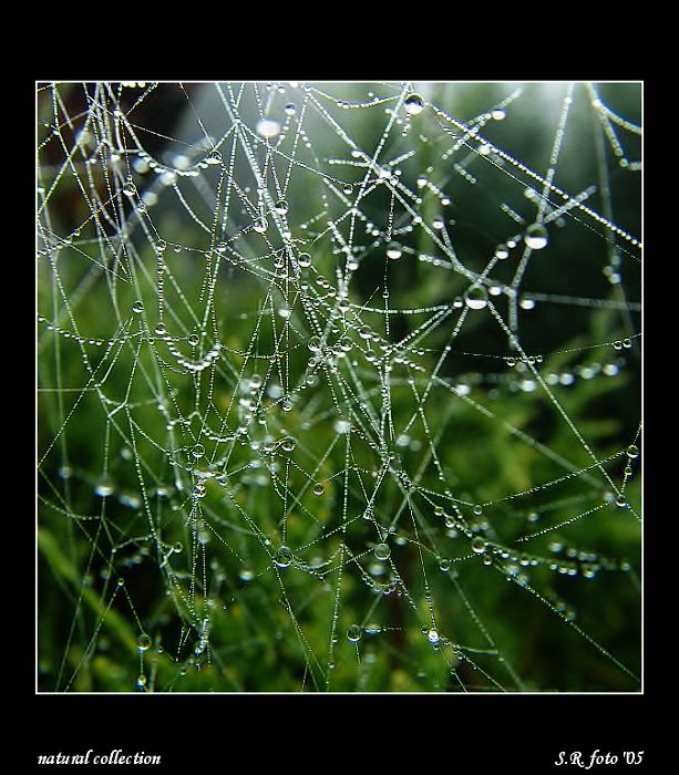 --CHAOTICKÁ--