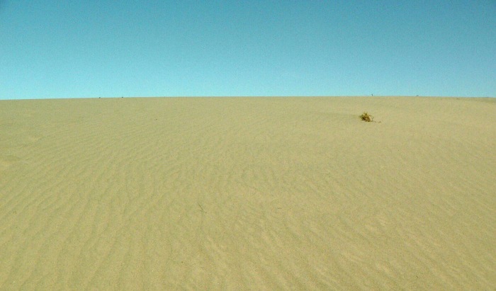 Poušť jak má být