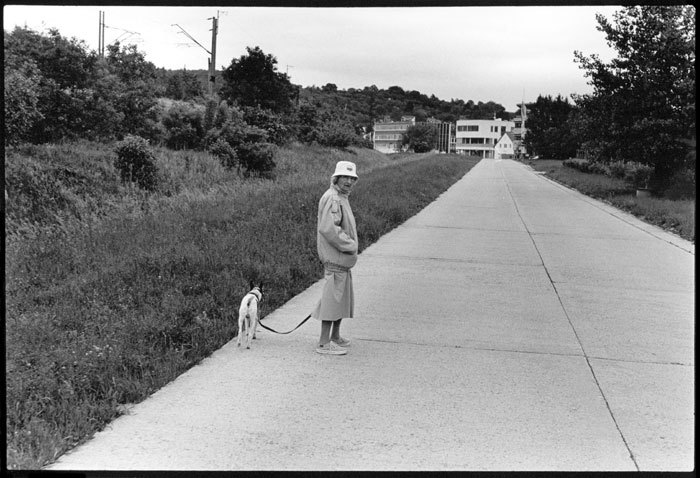 dogwalk