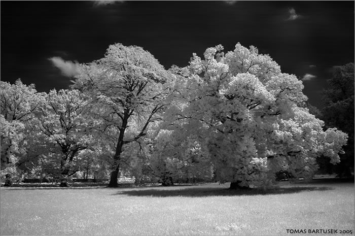 Park (IR)