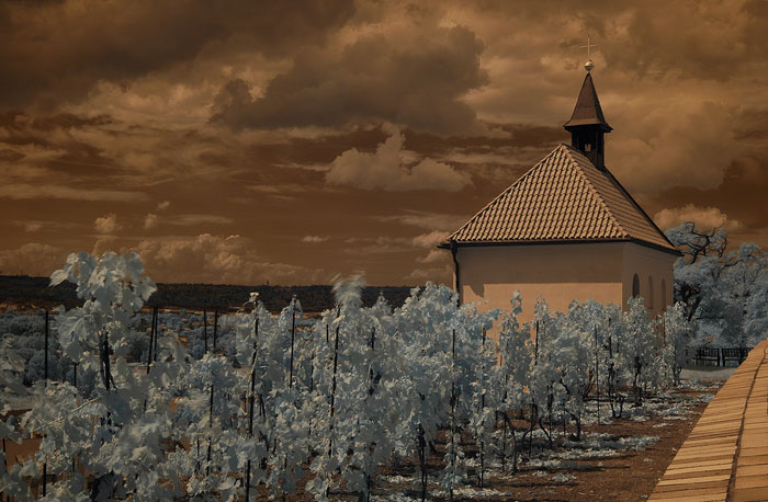 Kaple (IR)