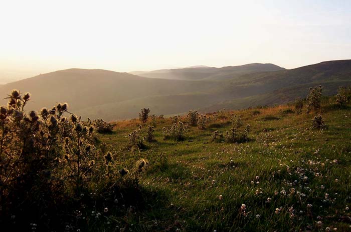 Pohled do krajiny