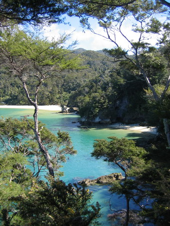 Abel Tasman