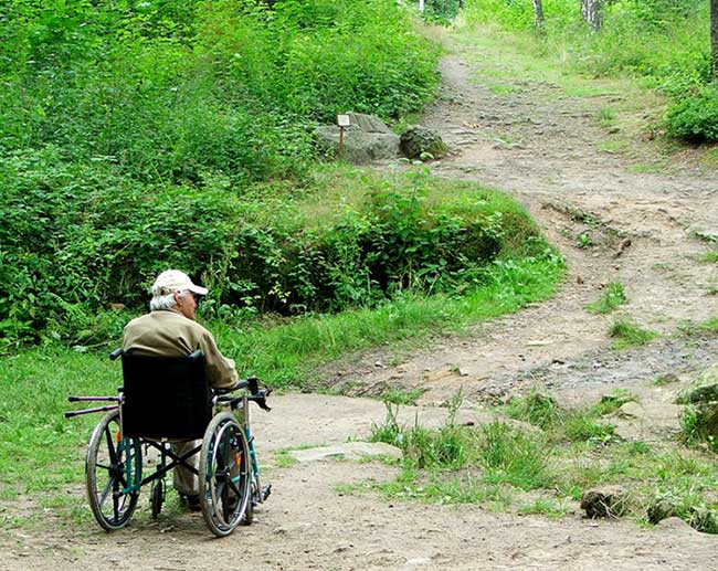 jak dál?