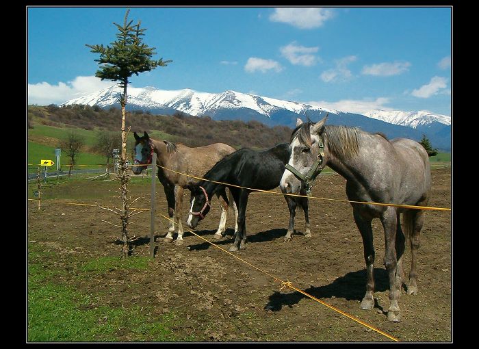 v depe...