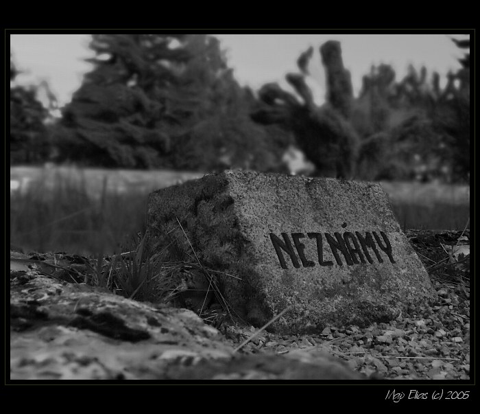 Neznámy hrdina
