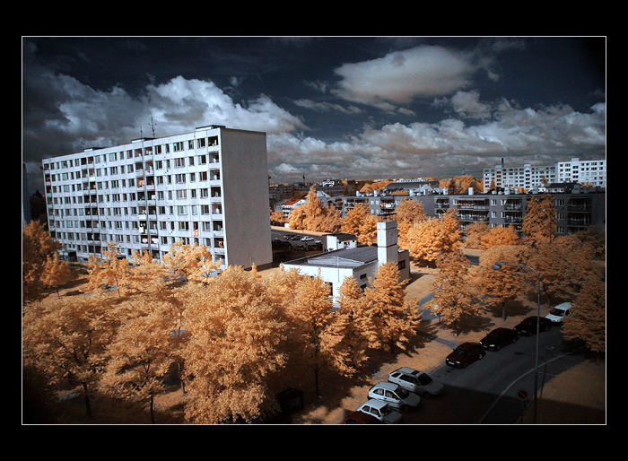 Summer Autumn
