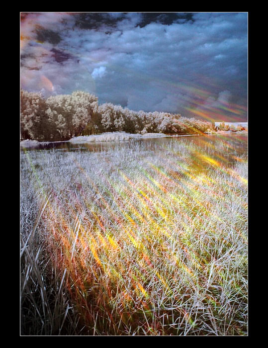Sun light