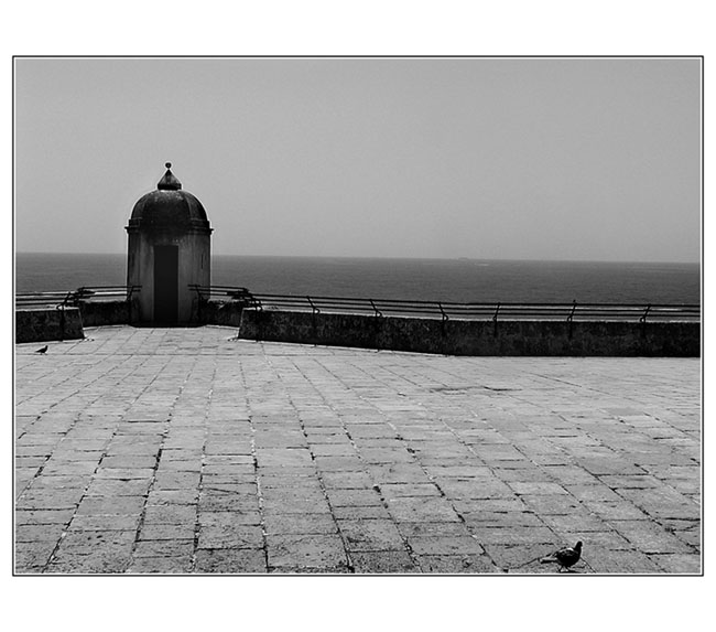 Linea pura