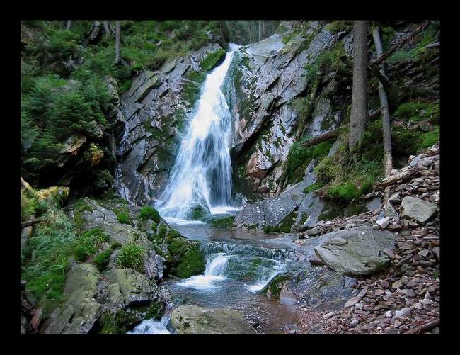 Šumava - nedaleko Černého jezera