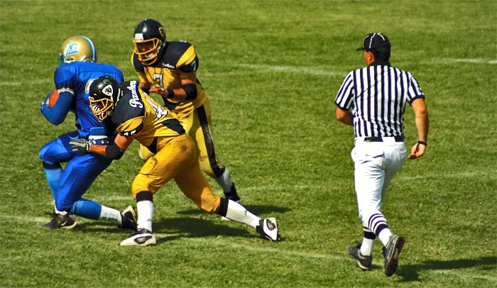 panthers vs. monarchs
