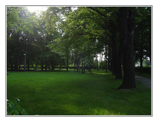 Park