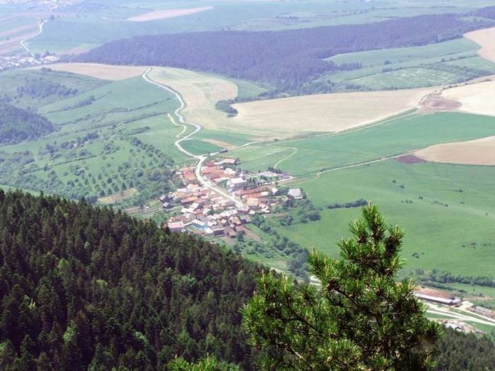 Dúbrava