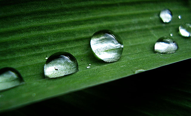 Water reflection