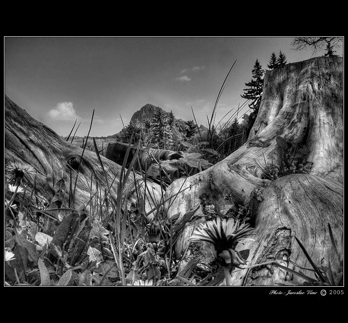 <b> - BOŘEŇ - 1 - </b>