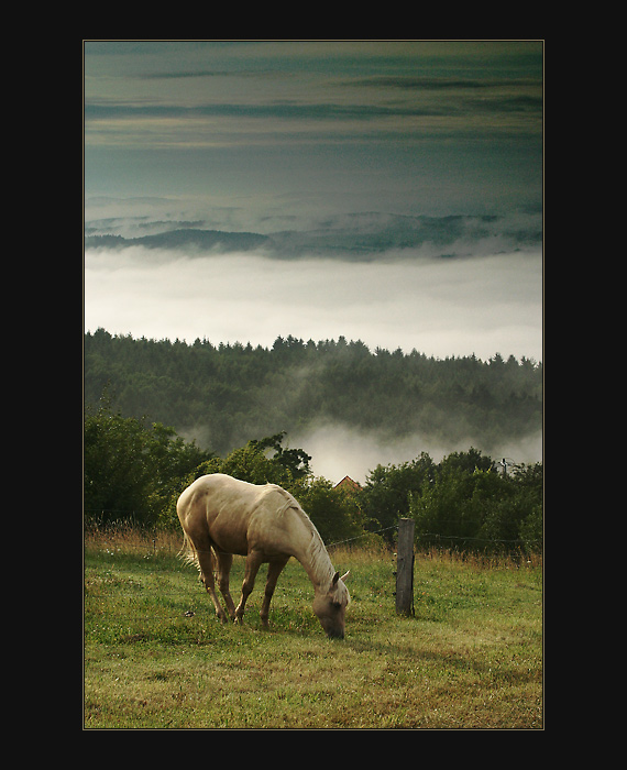 U sousedů to mají vždycky lepší ...