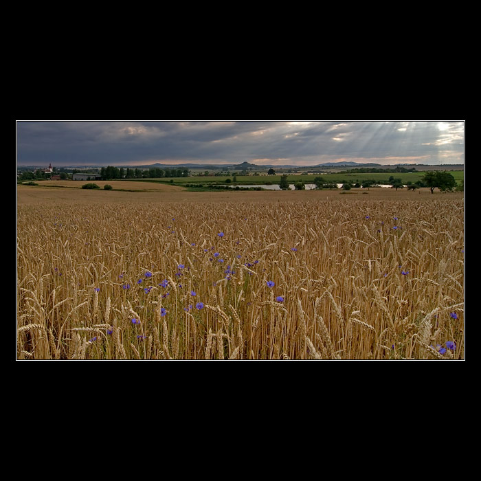 <b>* Kdo seje vítr... *</b>