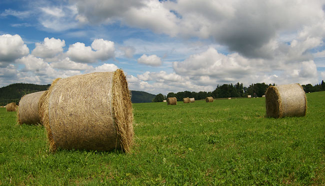 U libína