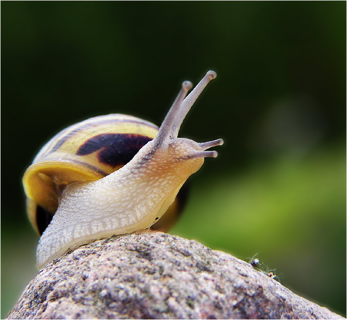 Nepochtívej!<br>Nic ti nedám!