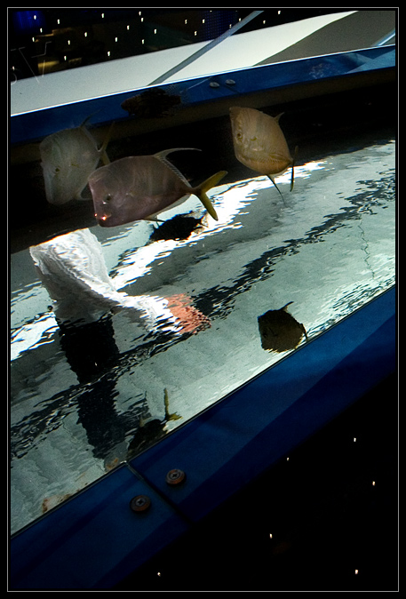 Industrial waterWorld