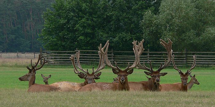 Pohoda která nekončí