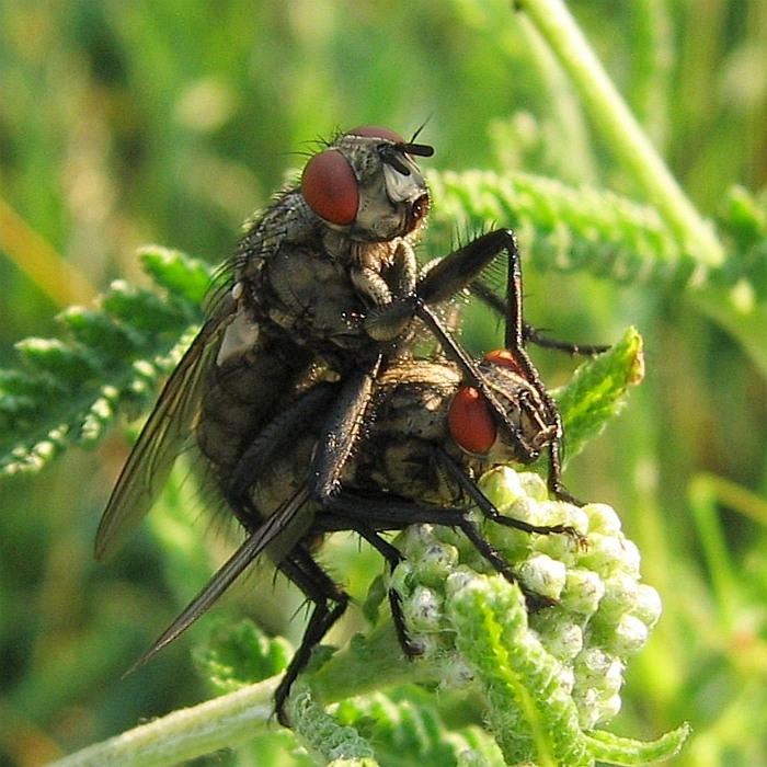 Večer na řebříčku