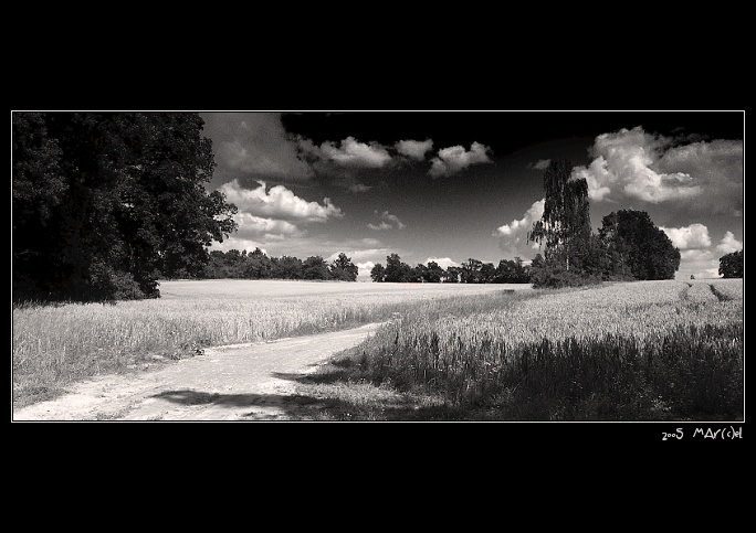 ..:: ČekÁm na tebe ... Tvá CESTA ::..