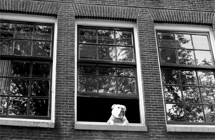 Amsterdam2