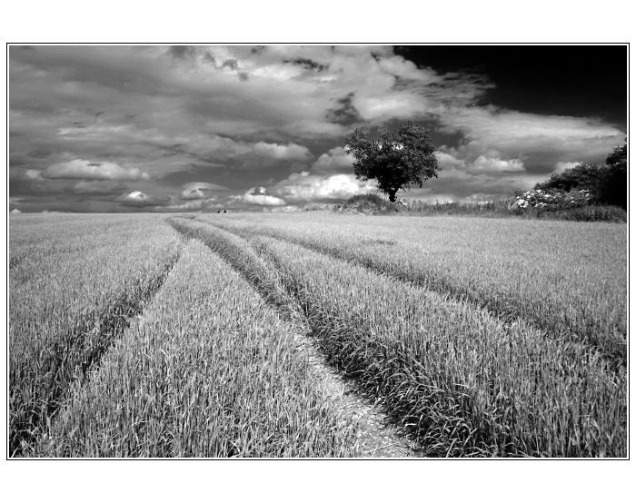 Počkáme tě u cesty...