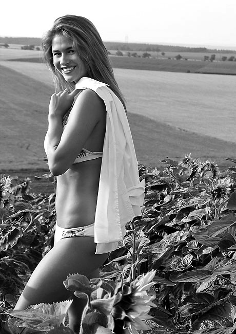 Daniela VII
