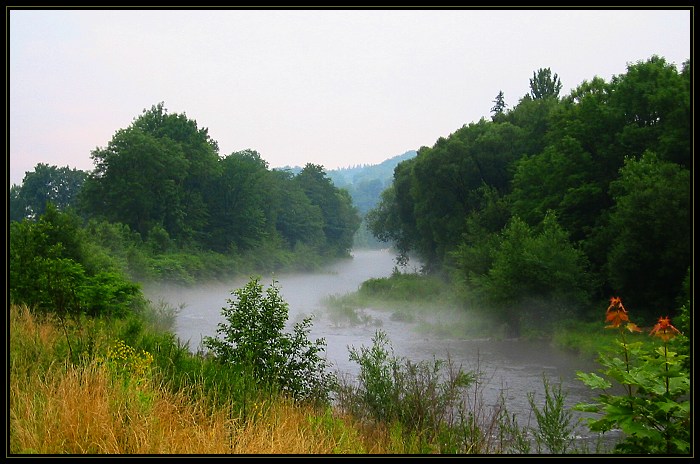 Ostravice