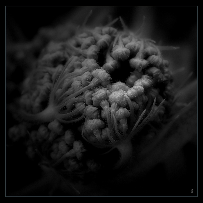 <b>...SEN O ZROZENÍ...<hR></b>(...temná strana...)<br><b>