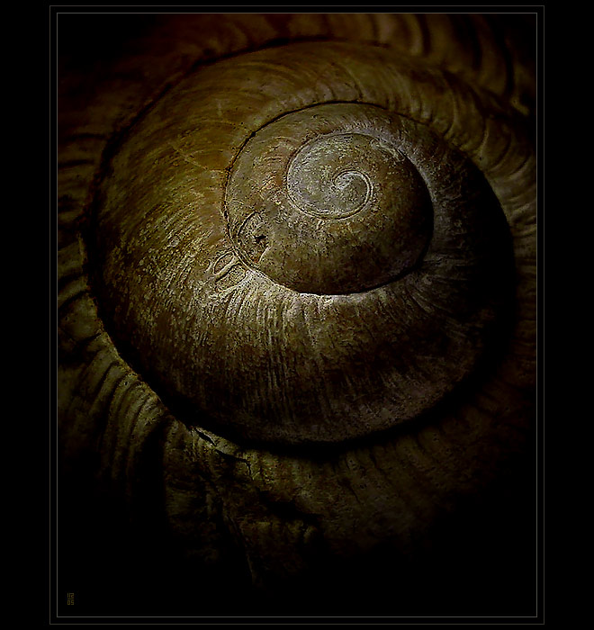 ...EVOLUCE...(...všednosti...)