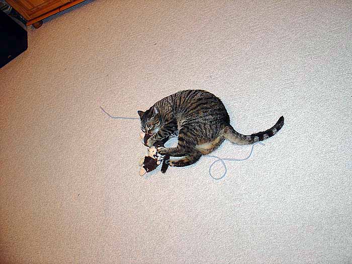 Trudy hlásí návrat. Už jsme se vrátili z dovolené.