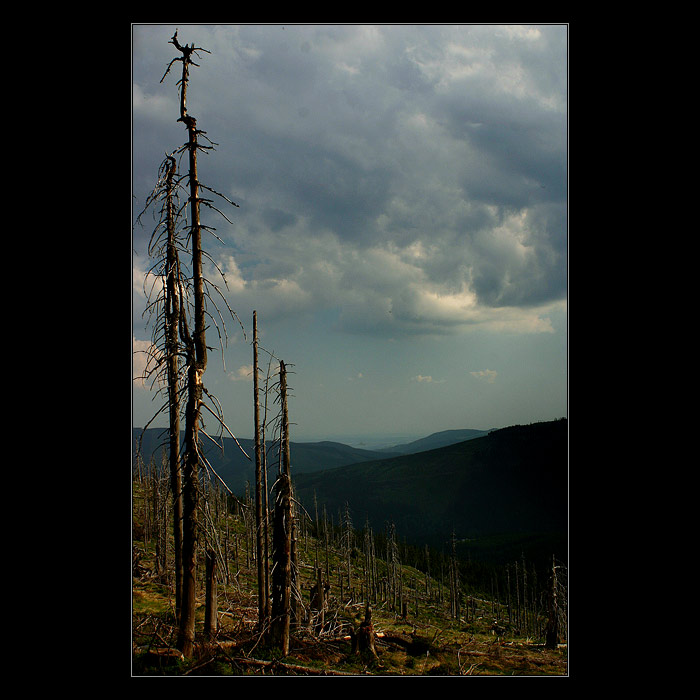 - Krkonošská klasika -<BR>