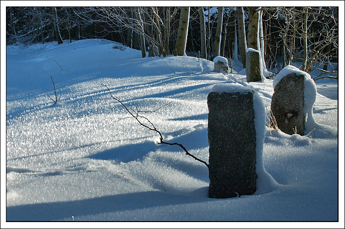 mrazivé osvěžení