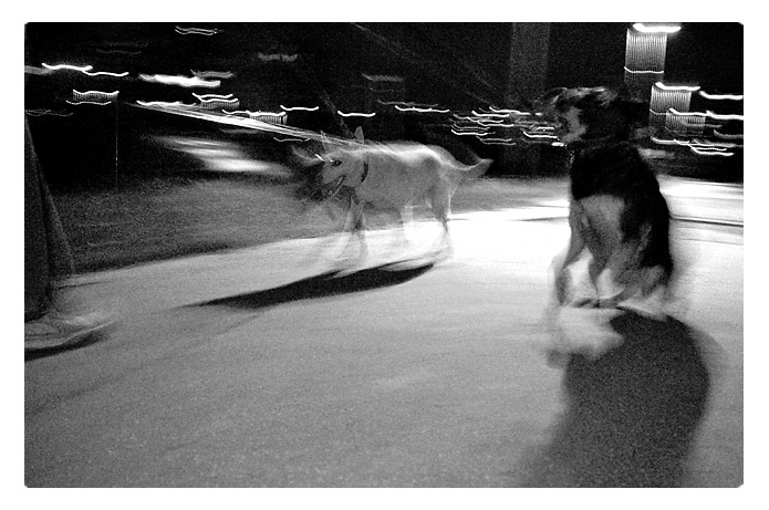 Čakanie na trolejbus