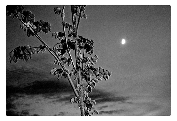 Trolejbus odisiel, zostal len mesiac