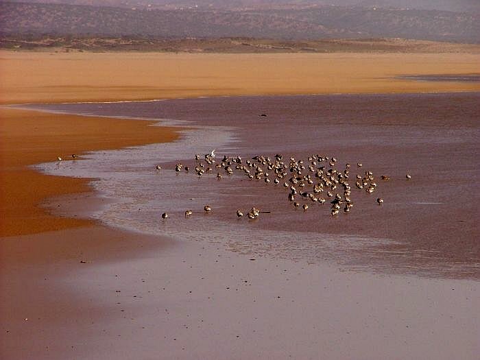 Marocco beach