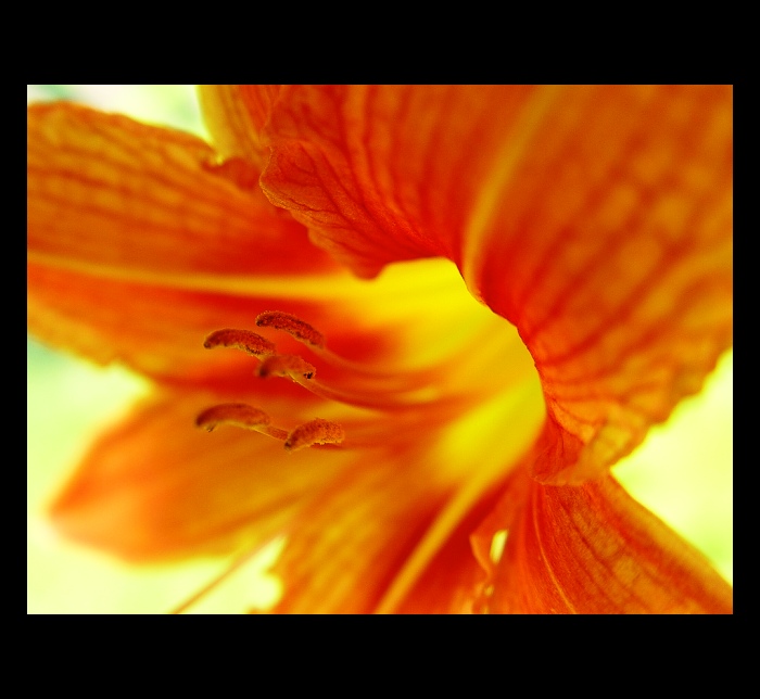 ...orange...