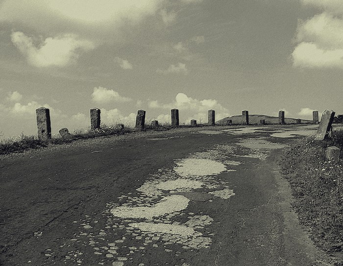 ...cesta...