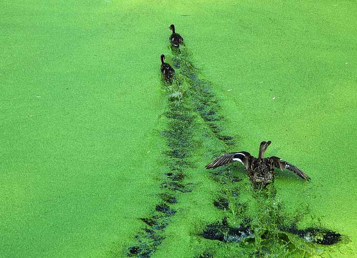 ga!!ga!!!gagagagagaga!!!!!!!!!!!!!